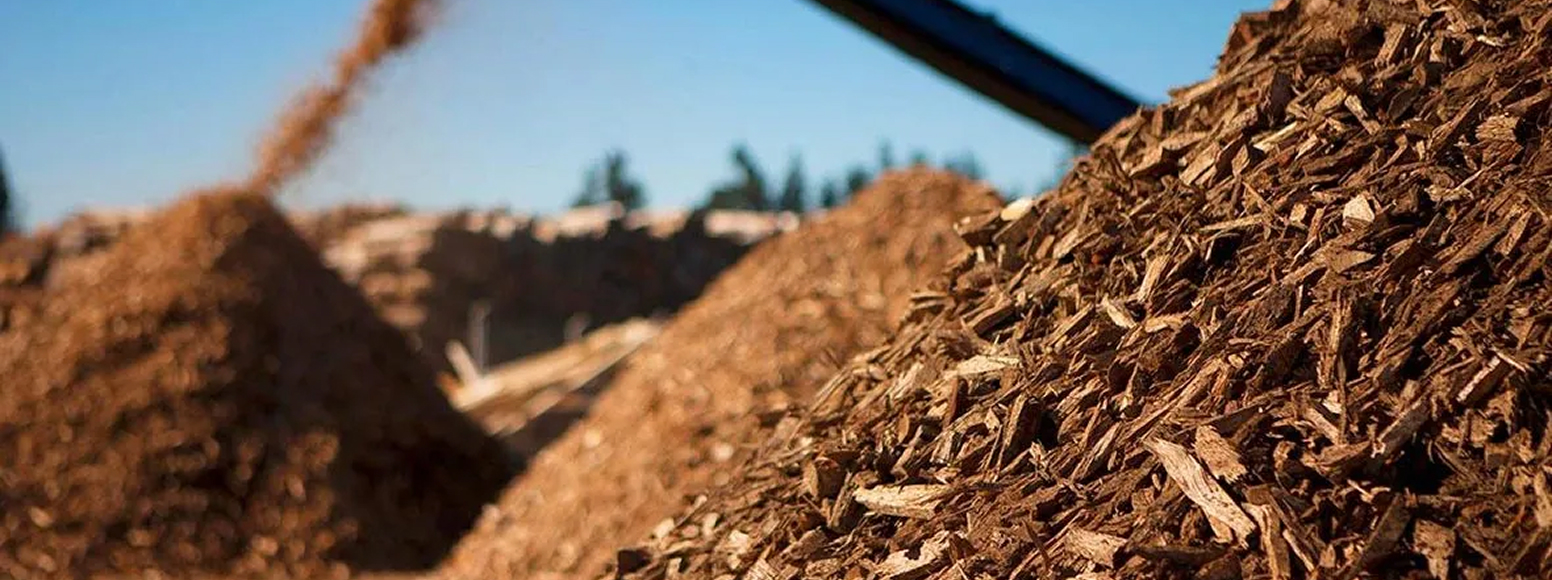 Biomass Insight